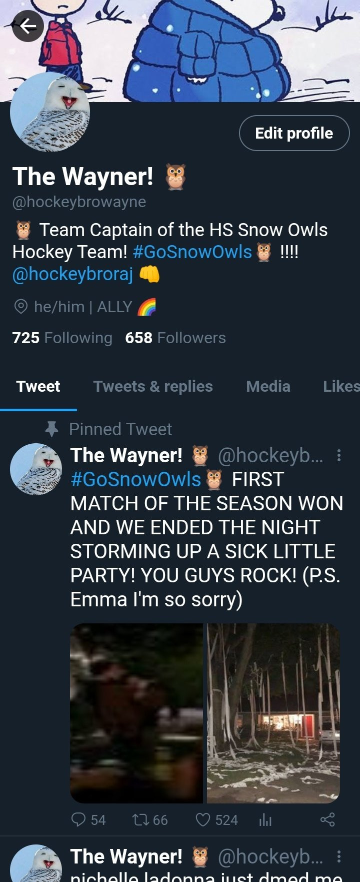 I Tried Making A Tdi2023 High School Socmed/twitter Au Last December And I Made These Accounts For Them!