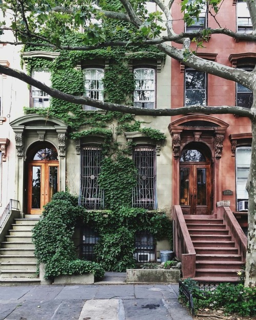 newyorkcityfeelings - Fort Greene Historic District by Tamara...