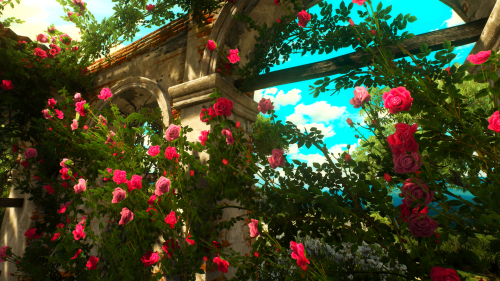 Toussaint Flowers