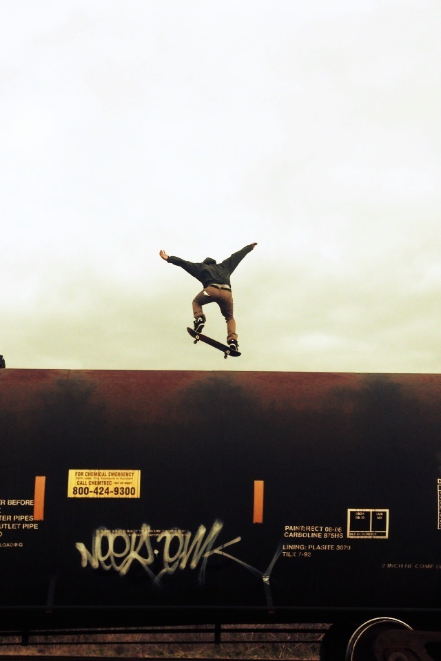 sk8sesh:  I will skate anything! 