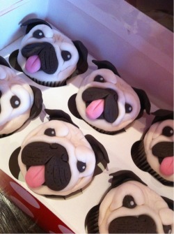 Eat PUG-FACE!