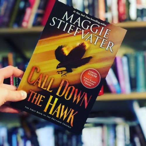 maggie-stiefvater:Want to win this CALL DOWN THE HAWK sampler? Post on your blog about something you