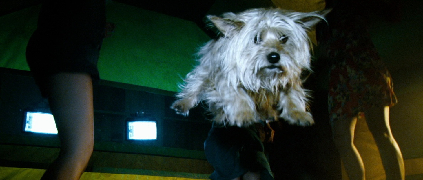 Dogs In Movies Database Index