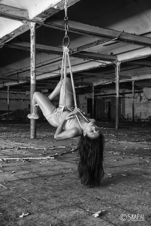 acordesetacris:  Shibari