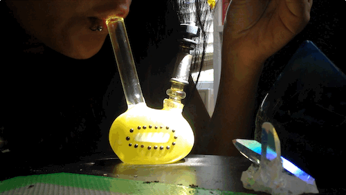 veeveeganja:  Kiwi by Glass By Boots