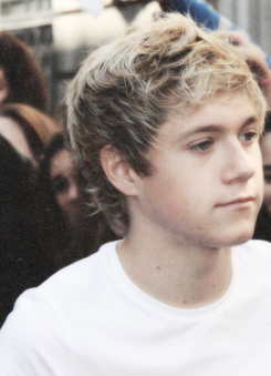    niall in white tees         