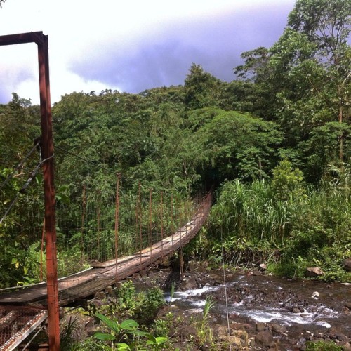 macaom:On my way to the jungle #wanderlust #travel #mytravels #costarica #bridge #jungle