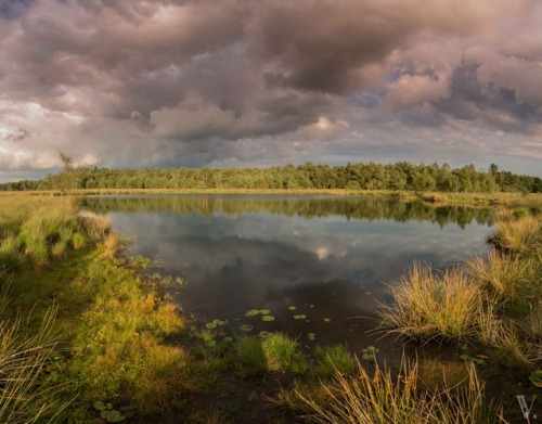 Late Summer in #Twente. Have a great Fall!