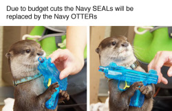 likeshine:  roachpatrol:  tastefullyoffensive:  (via shadowfogkiller)  well at least he’s taking it seriously  @otterlily 