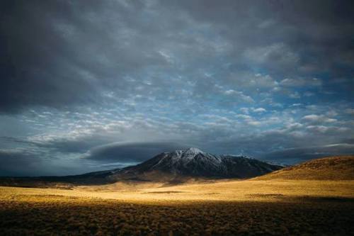 Volcan TromenThe province of Neuquen is famed for its dinosaurs, dug out of the Mesozoic terrestrial