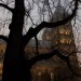 rainy-autumn-day:
