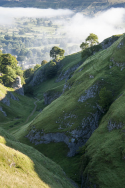 accio-forest:  turtwigs: Cavedale (by Keartona)