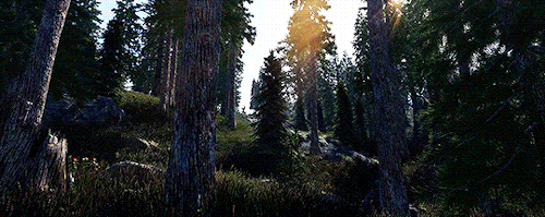 keldornfirecam:Semirealis ENB (x)