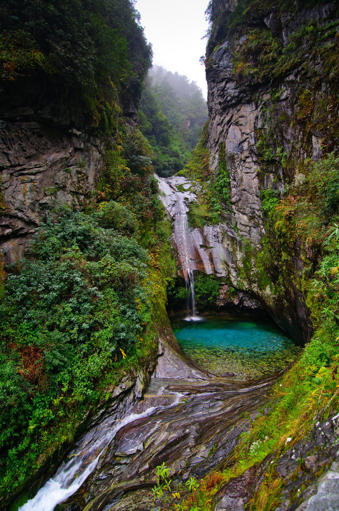 4nimalparty:  (by epidemiks) 