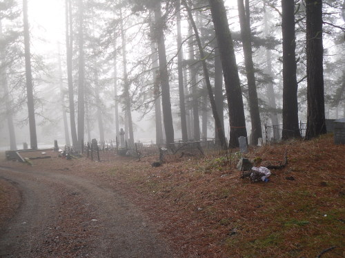 thizzle-dance:Roslyn Cemetery One of My favorite places to go it’s just so peaceful