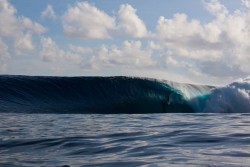 surf4living:  john john by domenic mosqueira