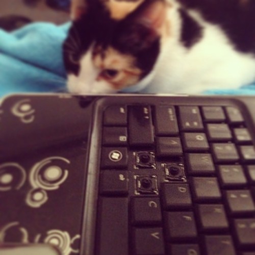 amywilderness: Lucy learned a new game called “pull the keys out of mommy’s laptop..&rdq