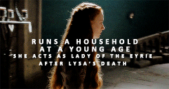 sansalayned:  Catelyn Tully and Sansa Stark + parallels(requested by @elzabetholsens)