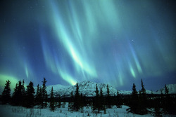 travelismagnificent:  Northern Lights Over the Alaska Range by Critter Seeker on Flickr. 