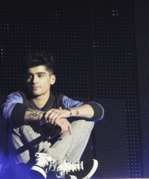 Zayn was a wonderland