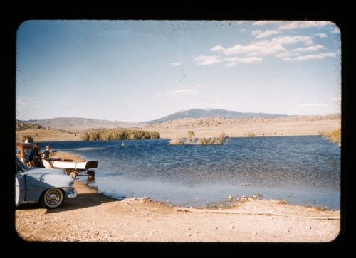 scanning my grandparent’s slide film for practice