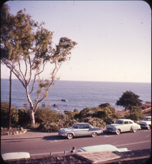 twoseparatecoursesmeet: The Pacific from Laguna Beach, 1958 Bruce Thomas