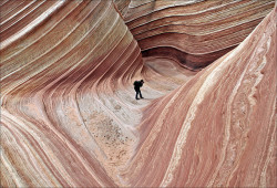 gnossienne: The Wave, Coyote Buttes North,