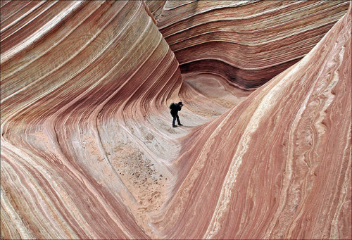 gnossienne: The Wave, Coyote Buttes North, Paria Canyon-Vermillion Cliffs Wilderness, Arizona