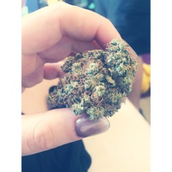 poison-highvy:  #stoner #weed #dank #marijuana #pawt #high #fuckyeah #stonerbabe #lifeisgouda