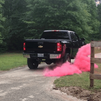 showyourcattle:  Hillbilly gender reveal party 😂  My friends did this for their