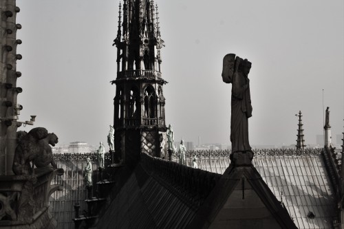 twintravels:Top of the Notre DameParis 2015 - Photo by Alise Murie