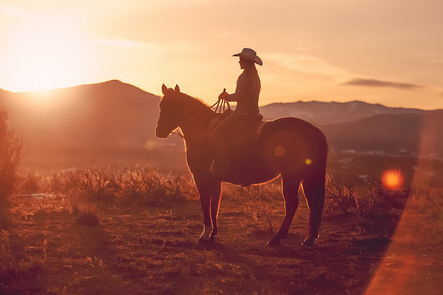 equineflo:  Western RangeX