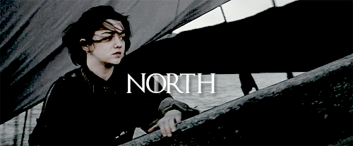 donydarko:  When the snows fall and the white winds blow, the lone wolf dies but