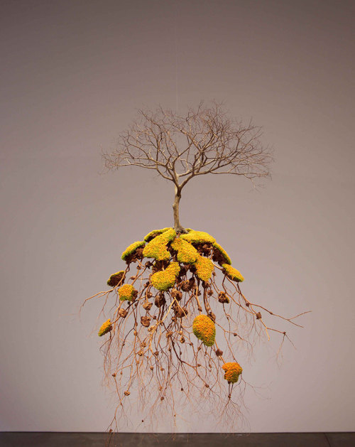 culturenlifestyle: Plant Sculptures Suspended Disintegrate Into Isolated Islands  Keep reading
