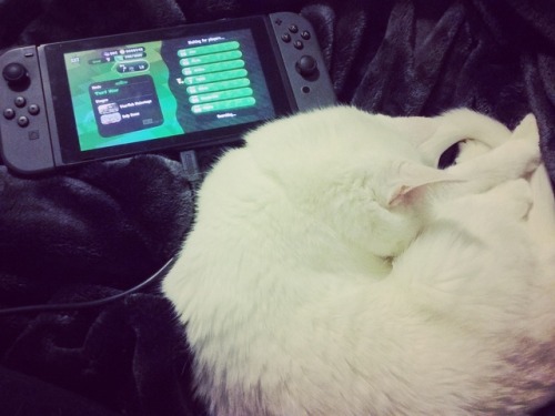 tyishi: Playing some Splatoon with my best gaming friend ❤ No better way to spend an evening