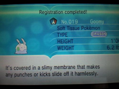 scolipede:Goomy, possible pseudo legendary from Kalos, or at least one of them… This is a equivalent