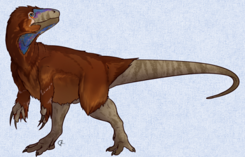 quetzalcuetzpalin-art: A Megalosaurus and Deinonychus I made for the Mexican science and education c