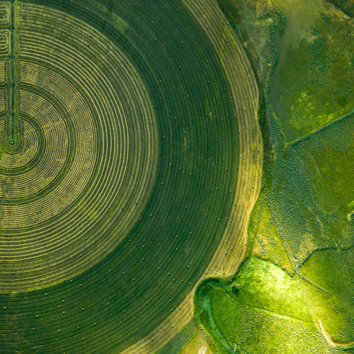 itscolossal:Stunning Aerial Photographs by Mitch Rouse Capture the Precise Patterns of Farmland