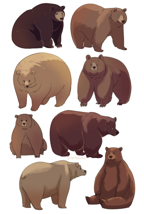 derryderrydown: joshuaorrizonte:star-explorer:themaarika: could i offer you some round bears in thes