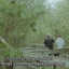 unknowingly-1