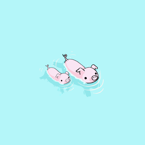 stefanieshank:  happy national pig day! 