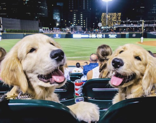 southernsideofme:These two ball fans