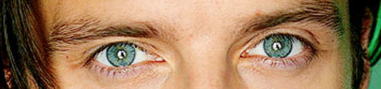 Sex Sebastian Stan Eyes Appreciation Post pictures