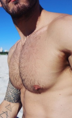 Hot Hairy Muscular Men