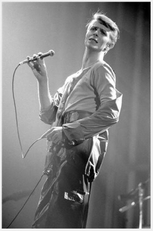 Photo by Patrick Harbron - Maple Leaf Gardens, Toronto, May 1978.