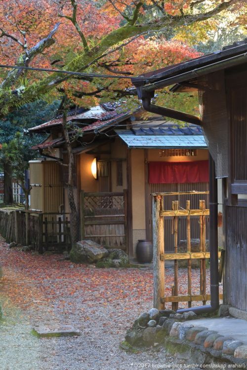 ‘21.11.23 興福寺、浅茅ヶ原にて夜も明けてきて、陽が差してきました。まだ興福寺から400ｍ程しか移動してないのに、もう1時間ほど経っている･･。この季節は足を止めさせる光景が多いです。