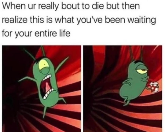 calculus memes plankton calculus memes plankton