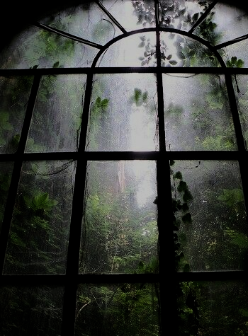 ↳ UNSEELIE COURT