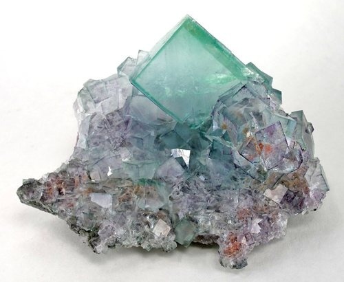 pearl-nautilus:Fluorite Crystals