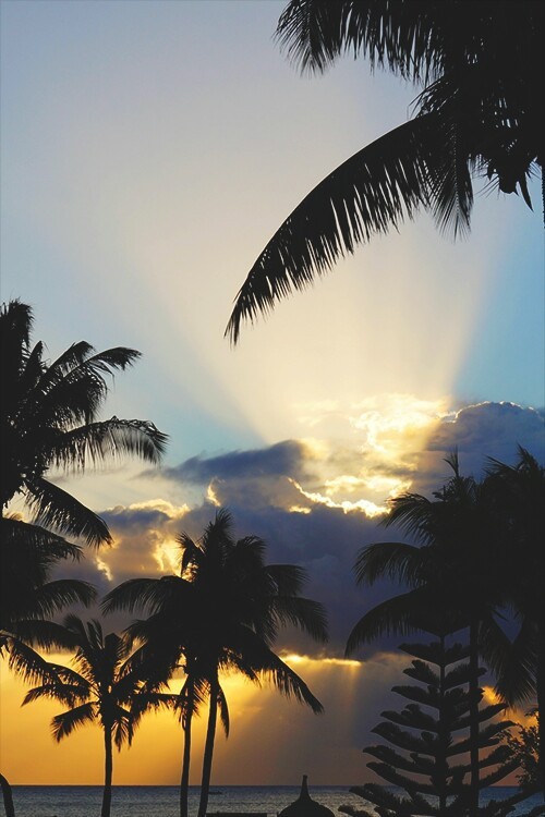 theresasthings:  Photography on We Heart It.